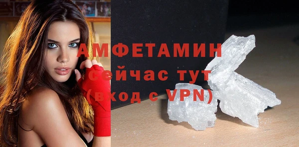 шишки Аркадак